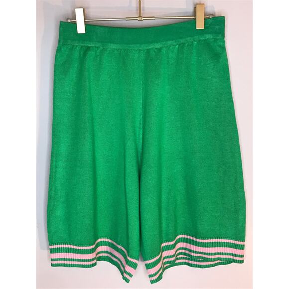 Ivy Storehouse Sweater Knit Shorts L Green Pink Stripes AKA - Picture 2 of 5